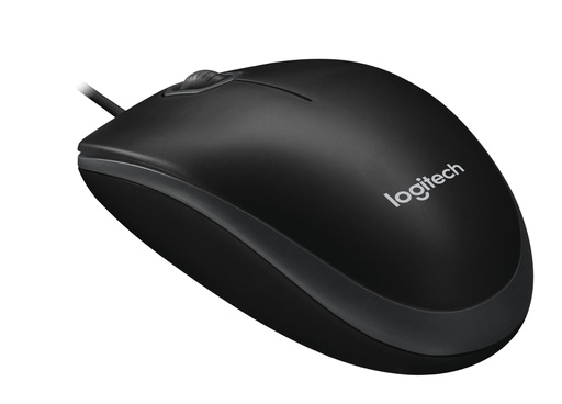 Logitech USB Black B100 Optical Mouse
